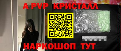 apvp Камышлов