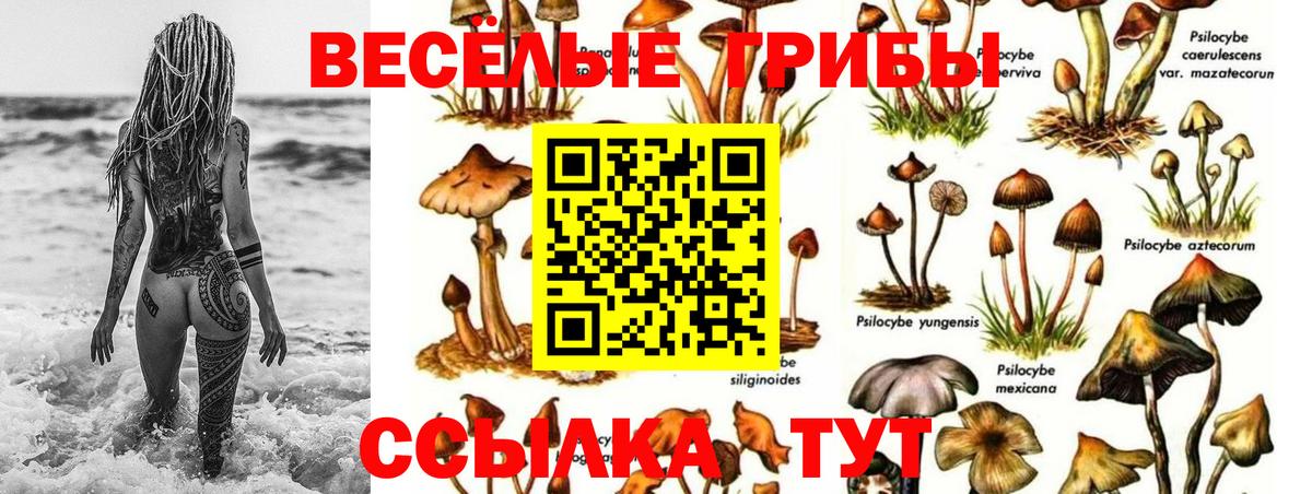 Вологда  Галлюциногенные грибы мицелий  Вход с VPN 